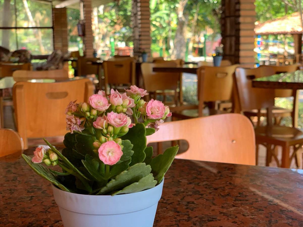 호텔 상 세바스티앙 다 프라이아 Florianópolis 외부 사진